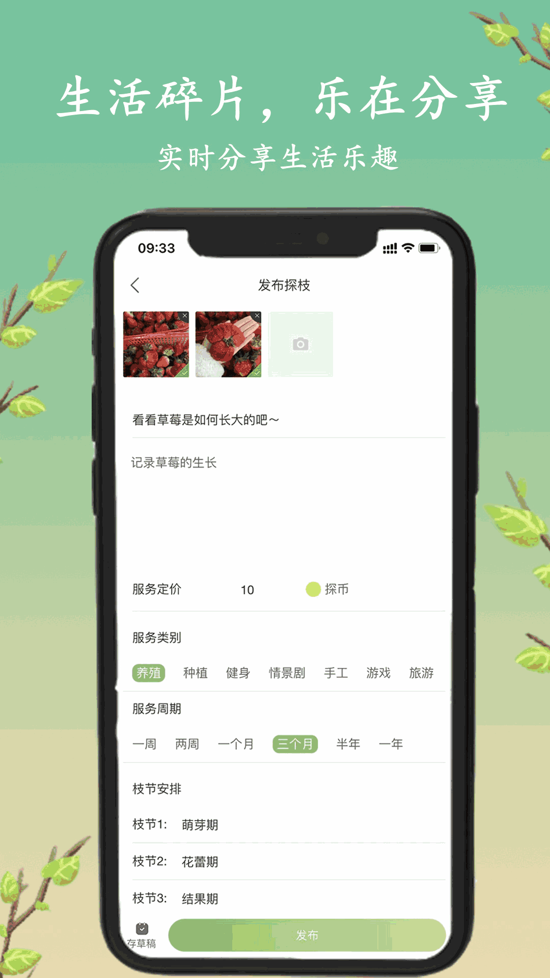 探枝