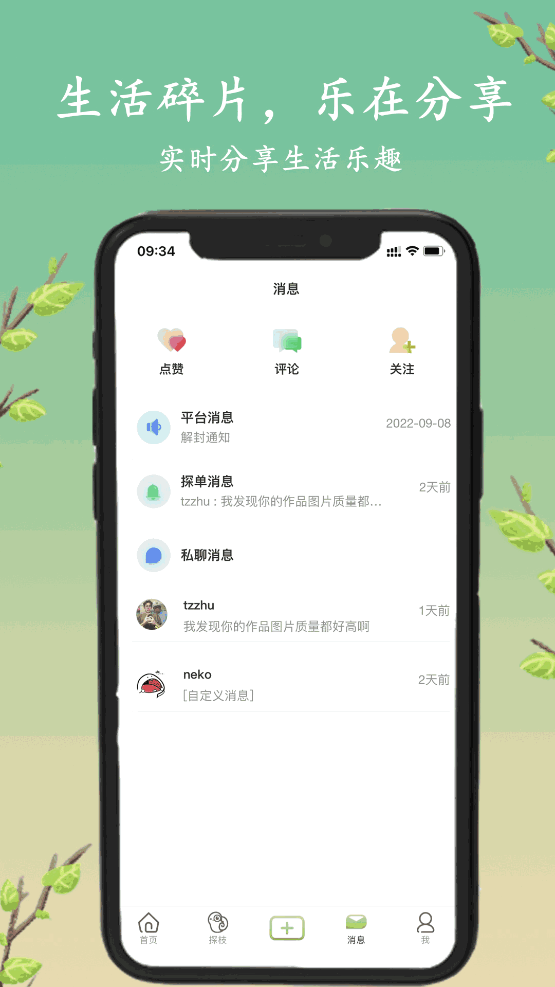 探枝